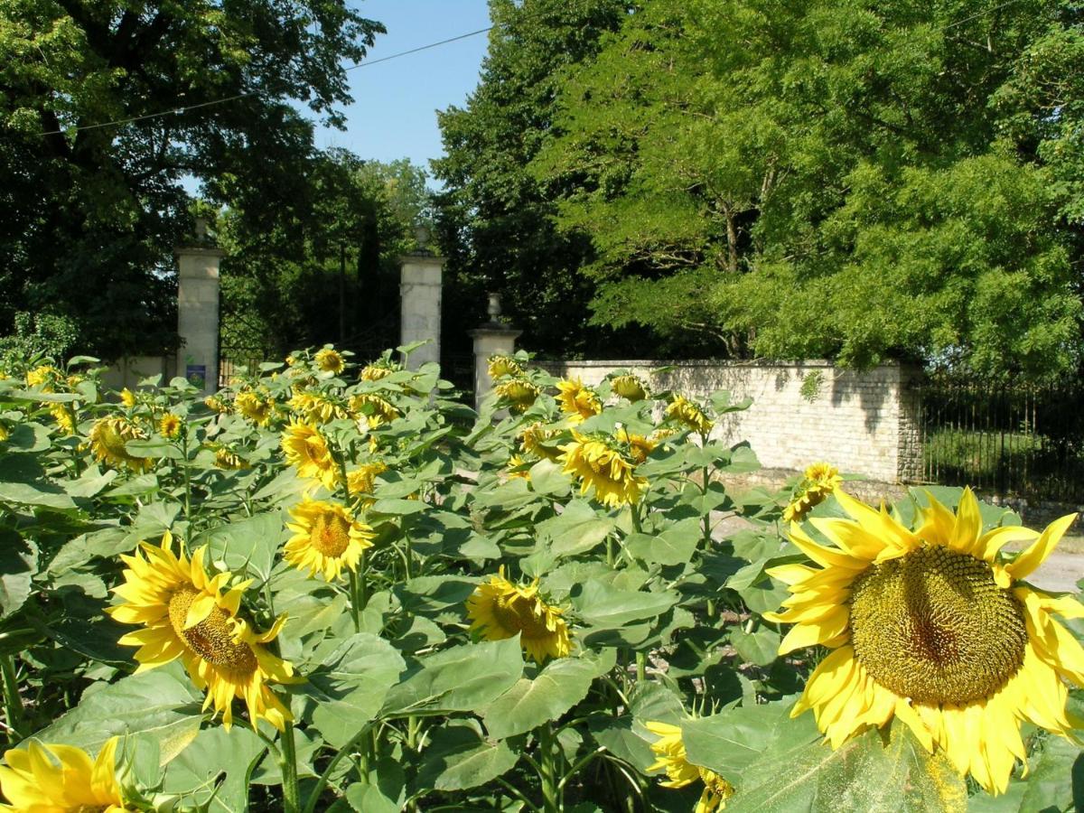 Chateau Du Bourbet Cherval Екстер'єр фото